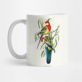 Rose-hill Parakeet Mug